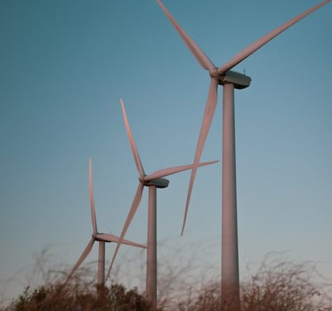 gray-windmills