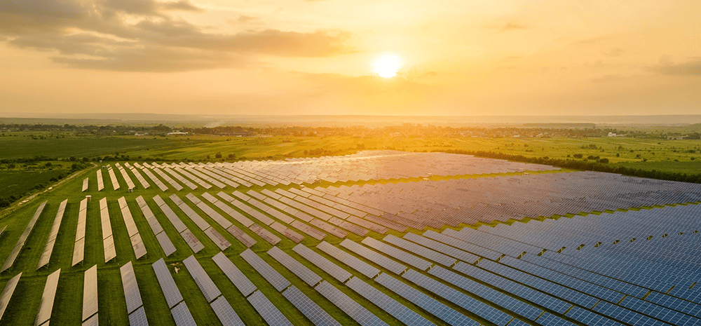 Community solar farm